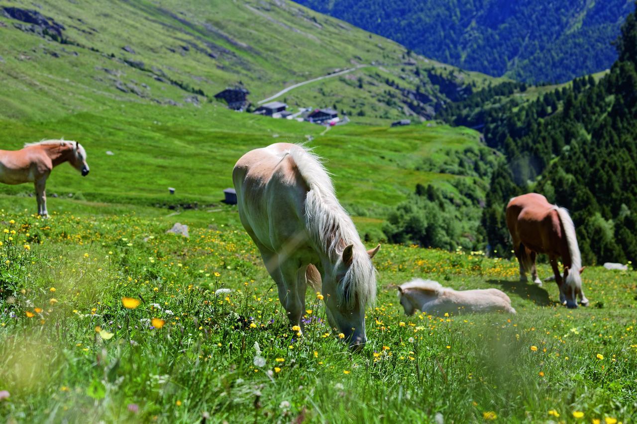 Gasthof Geierwallihof เวนท์ ภายนอก รูปภาพ